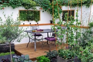 Garden Designer Surrey UK