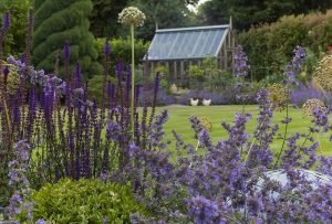 Garden Design Surrey - Planting