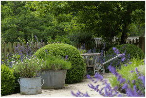 Raine Garden Design Services Surrey