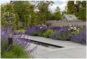 Award Winning Garden Designer Surrey