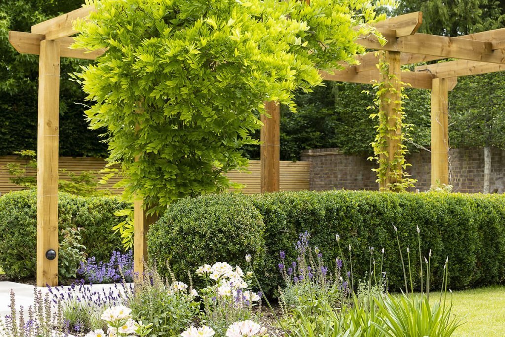 Adding an elegant structure adds definition to a low-maintenance structure.