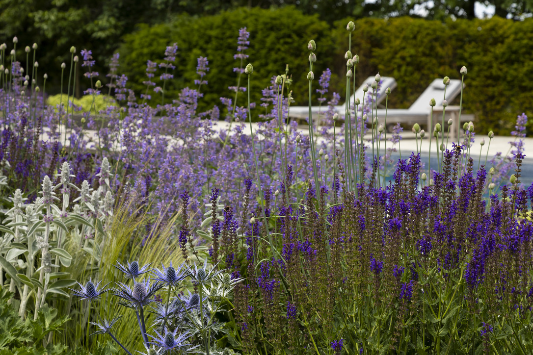 Evergreens, perennials and ornamental grasses are excellent choices for a low-maintenance garden.