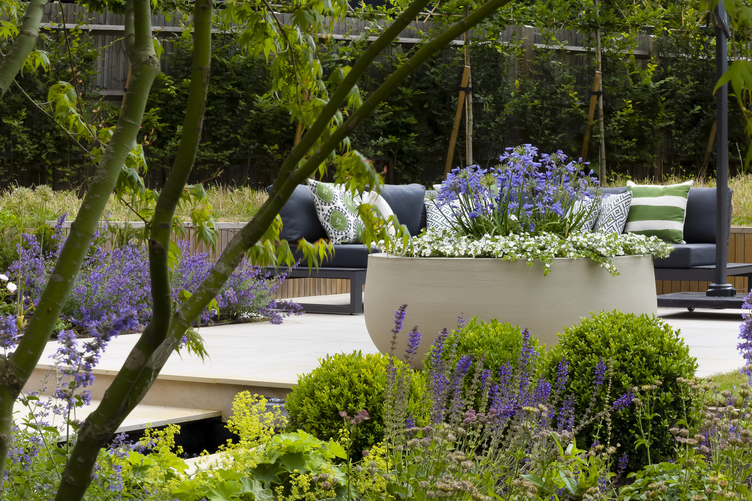 A stunning low-maintenance garden with evergreens and perennials by Raine Garden Design in Surrey.