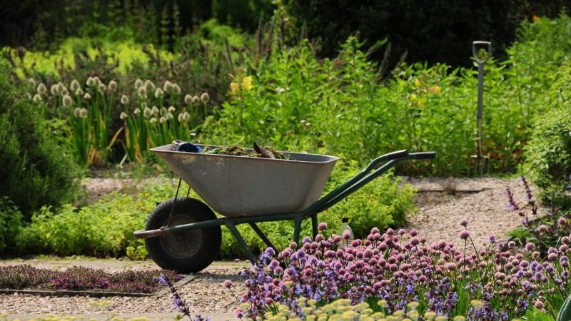 A wheelbarrow against a green garden with purple flowers in the foreground.